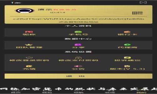 多网络加密货币的现状与未来发展趋势