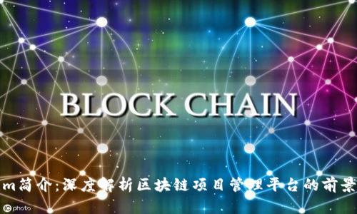 Tokenim简介：深度解析区块链项目管理平台的前景与功能