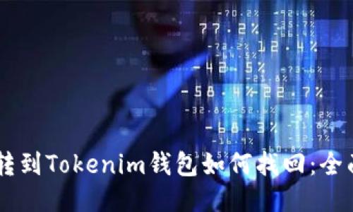 币错转到Tokenim钱包如何找回：全面指南