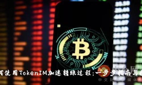 如何使用TokenIM加速转账过程：一步步指南与技巧