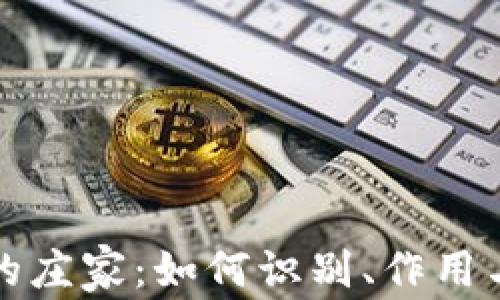 
加密货币的庄家：如何识别、作用与风险分析