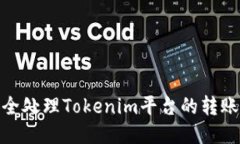 : 如何安全处理Tokenim平台的转账记录问题