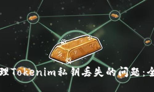 如何处理Tokenim私钥丢失的问题：全面指南