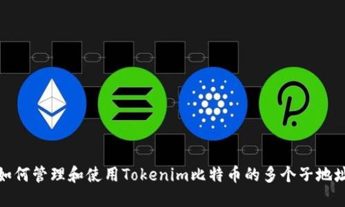 如何管理和使用Tokenim比特币的多个子地址