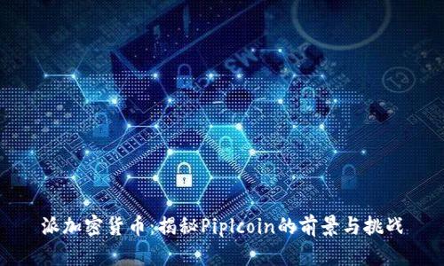 派加密货币：揭秘Piplcoin的前景与挑战