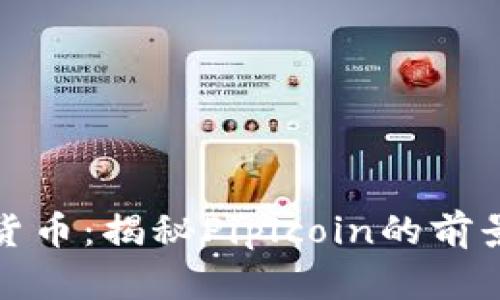 派加密货币：揭秘Piplcoin的前景与挑战