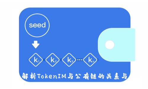 深入解析TokenIM与公有链的关系与应用