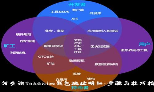 如何查询Tokenim钱包地址明细：步骤与技巧指南