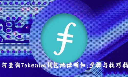 如何查询Tokenim钱包地址明细：步骤与技巧指南