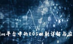 Tokenim平台中的EOS映射详解与应用分析