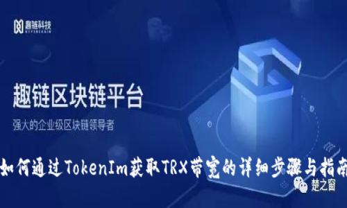 如何通过TokenIm获取TRX带宽的详细步骤与指南