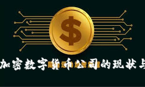 中国国产加密数字货币公司的现状与未来展望