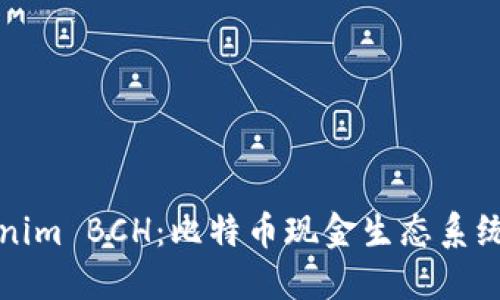 深入解读Tokenim BCH：比特币现金生态系统中的一颗明珠
