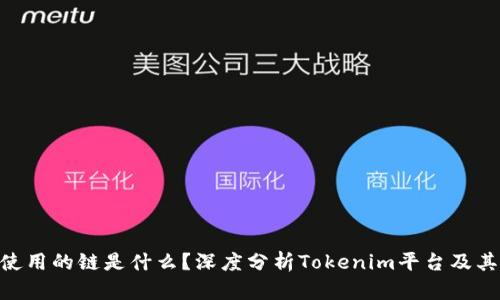 Tokenim使用的链是什么？深度分析Tokenim平台及其底层技术