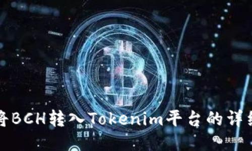 如何将BCH转入Tokenim平台的详细指南