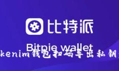 如何使用Tokenim钱包扫码导出私钥：全方位指南