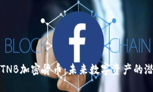 深入了解TNB加密货币：未来数字资产的潜力与挑战