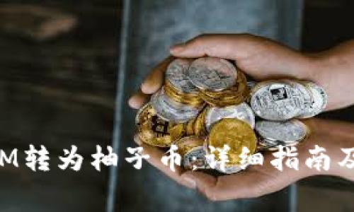 如何将TokenIM转为柚子币：详细指南及常见问题解答