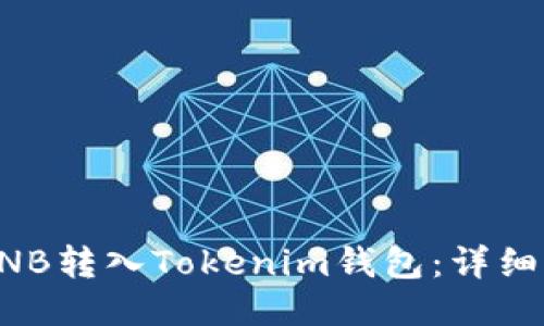 如何将BNB转入Tokenim钱包：详细步骤指南