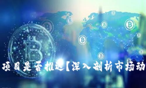 加密货币项目是否推迟？深入剖析市场动态与前景