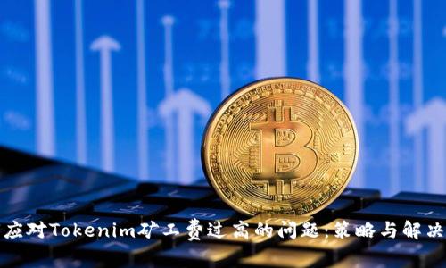 如何应对Tokenim矿工费过高的问题：策略与解决方案