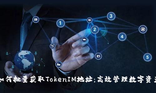 如何批量获取TokenIM地址：高效管理数字资产