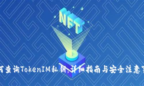 如何查询TokenIM私钥：详细指南与安全注意事项