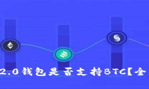 biatotiTokenim 2.0钱包是否支持BTC？全面分析与使用指南