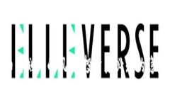 解读加密货币计划中的风险：投资者必知的隐患