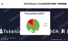 如何在Tokenim上安全存储BCH：新手指南