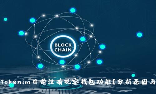 : 为什么Tokenim目前没有观察钱包功能？分析原因与解决方案