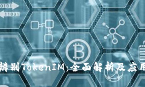 如何辨别TokenIM：全面解析及应用指南