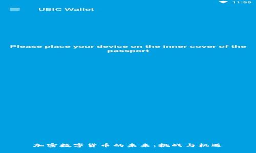 加密数字货币的未来：挑战与机遇