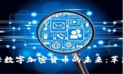 探索新兴数字加密货币的未来：革新与机遇