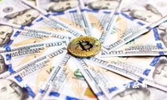 深入探索Tokenim中的路径与应用