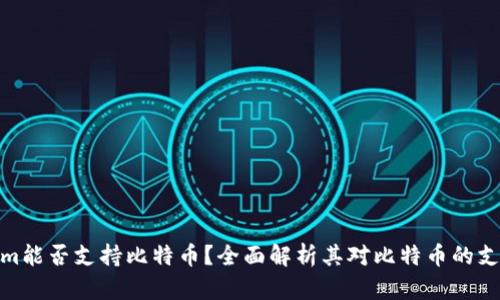 Tokenim能否支持比特币？全面解析其对比特币的支持情况