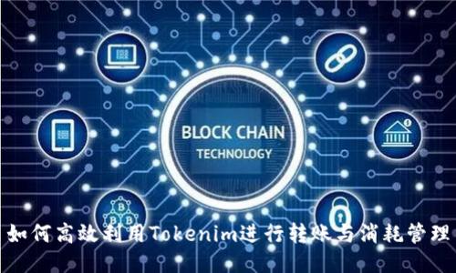 如何高效利用Tokenim进行转账与消耗管理