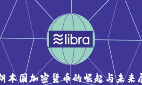 
伊朗本国加密货币的崛起与未来展望