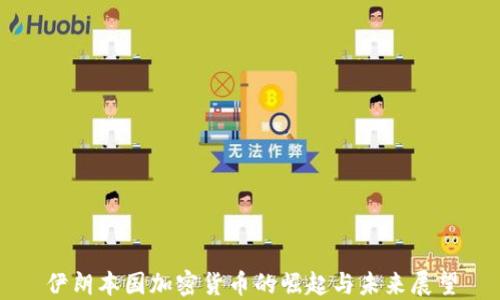 
伊朗本国加密货币的崛起与未来展望