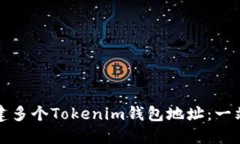 如何创建多个Tokenim钱包地址：一站式指南