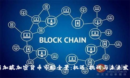 新加坡加密货币市场全景：机遇、挑战与未来发展