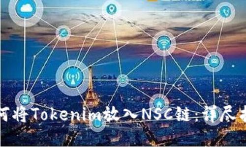 如何将Tokenim放入NSC链：详尽指南