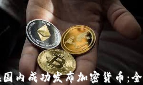 
如何在国内成功发布加密货币：全面指南