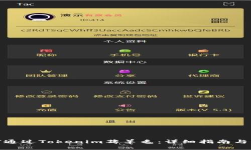 如何通过Tokenim薅羊毛：详细指南与策略