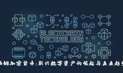 汤姆加密货币：新兴数字资产的崛起与未来趋势