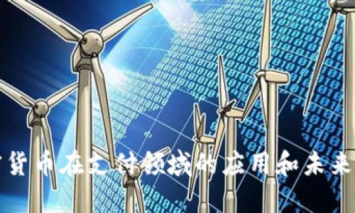 加密货币在支付领域的应用和未来展望