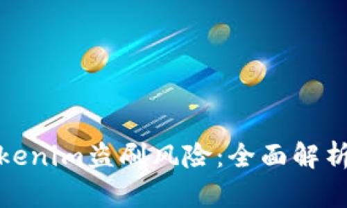 如何防范Tokenim盗刷风险：全面解析与应对策略