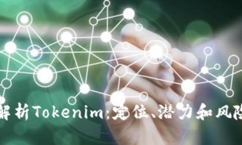 深入解析Tokenim：定位、潜力和风险分析