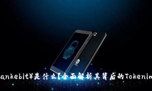 玩客币（Wankebit）是什么？全面解析其背后的Tokenim生态系统